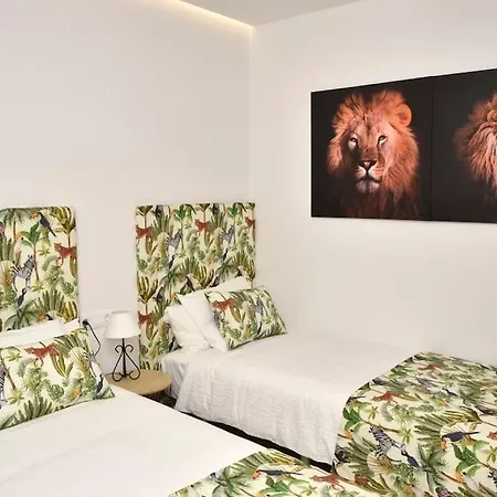 Bencomo Subset Apartament Puerto de la Cruz (Tenerife)