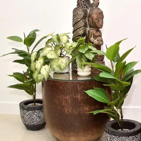 Apartament Bencomo Subset