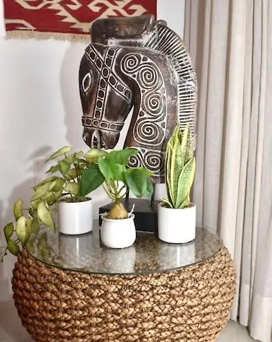 Bencomo Subset بويرتو ذي لا كروز