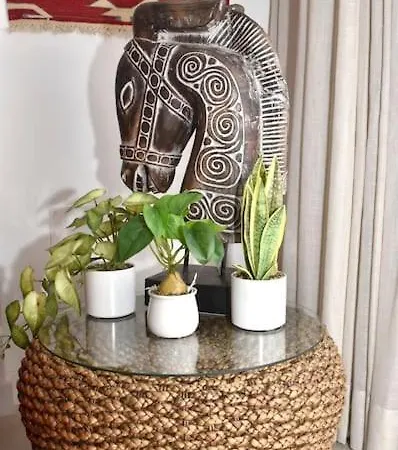 Bencomo Subset Puerto de la Cruz (Tenerife)