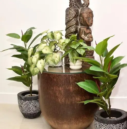 Апартаменты Bencomo Subset